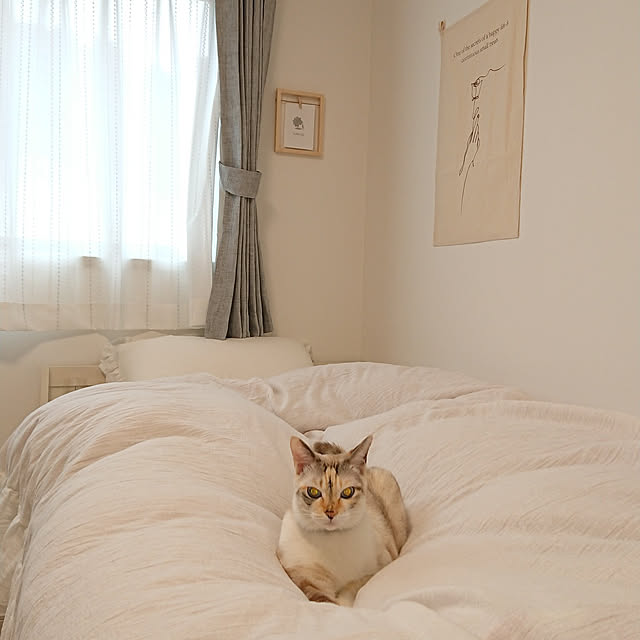 kohakuさんの実例写真
