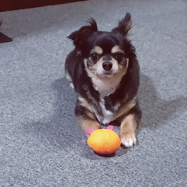 hiro.904さんの部屋
