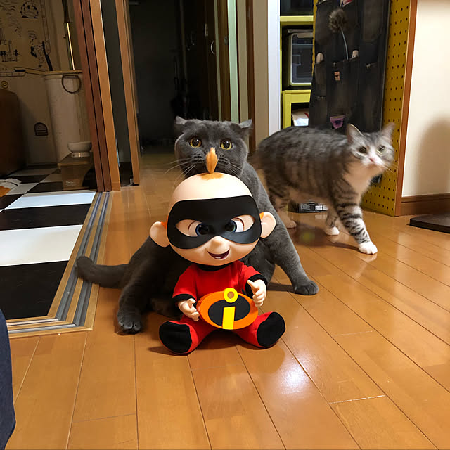 Shojiさんの実例写真