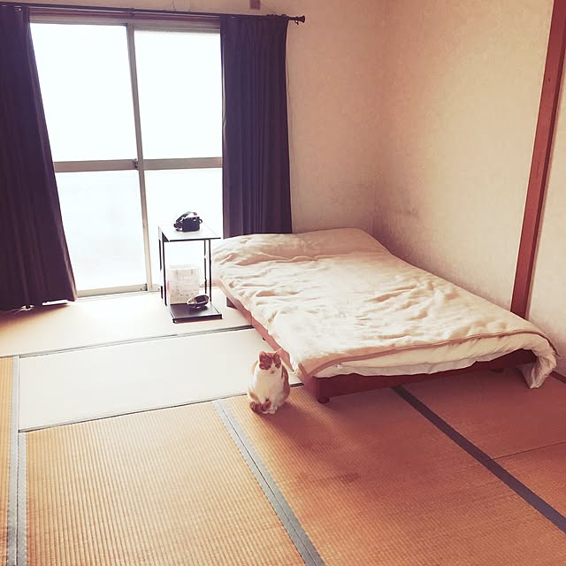 Sasaさんの実例写真