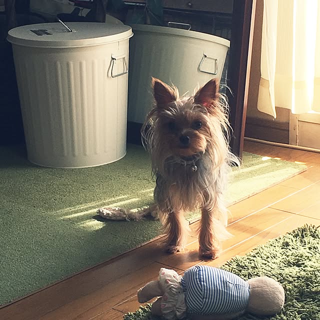 ToshiKoさんの実例写真