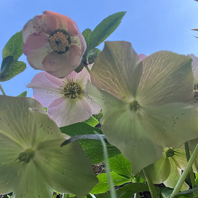 yuuumyさんの実例写真