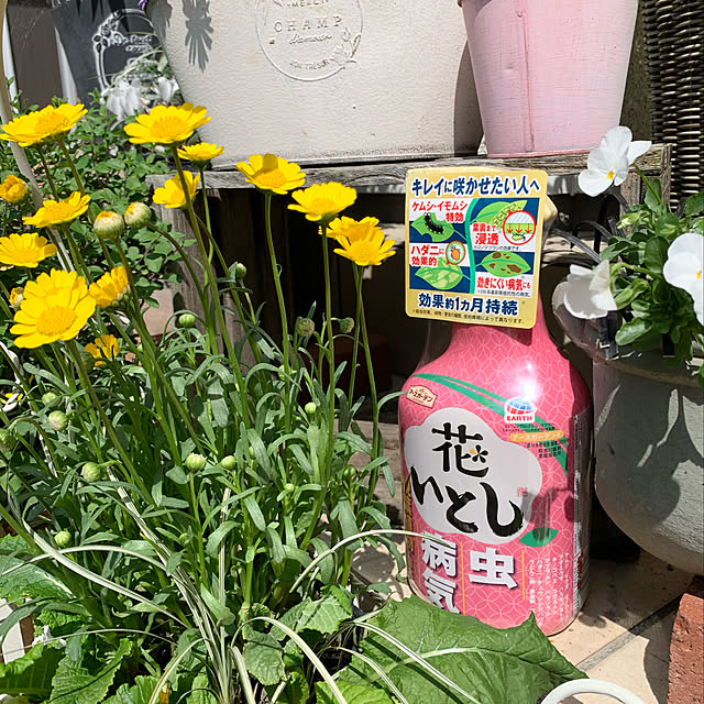 junjunさんの実例写真