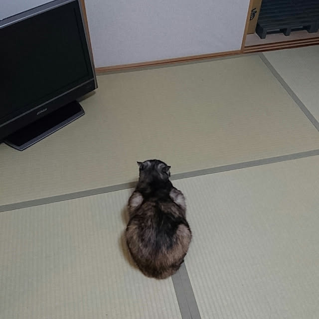 tokiさんの実例写真