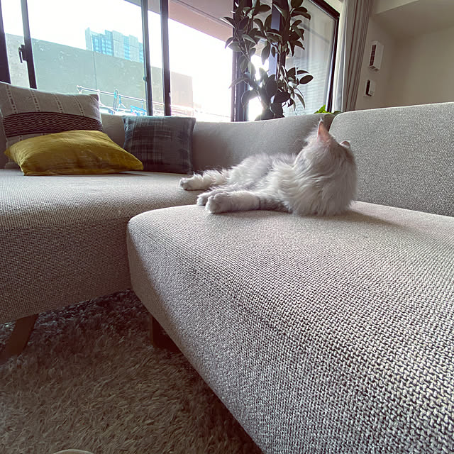 wataame.ameさんの実例写真
