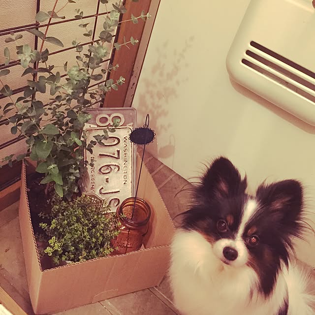 akaneさんの実例写真