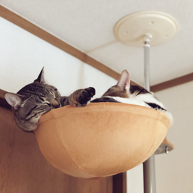nadia55さんの実例写真