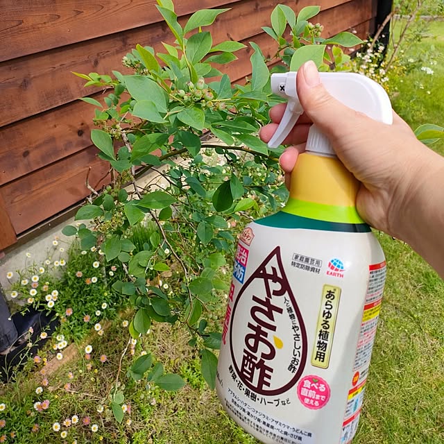 ai.happyplaceさんの実例写真