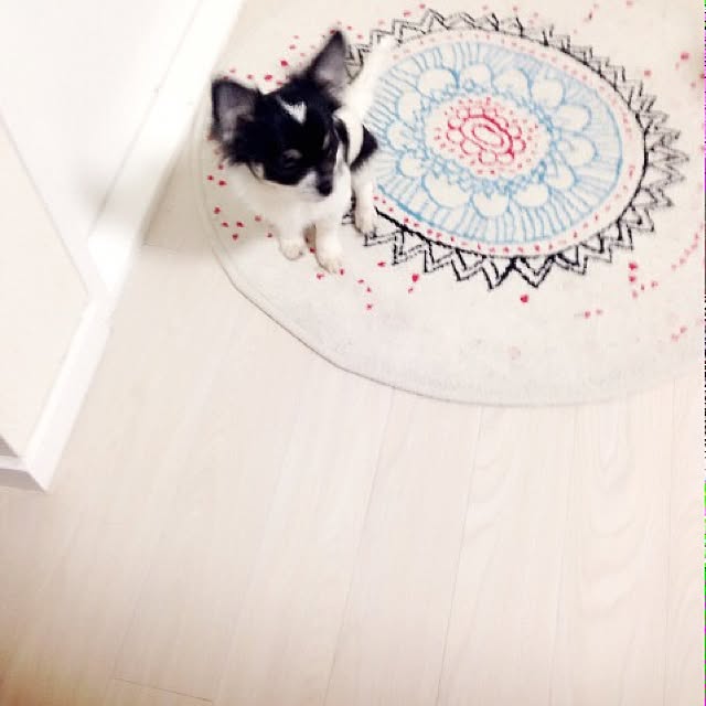 riri_ayamamaさんの実例写真