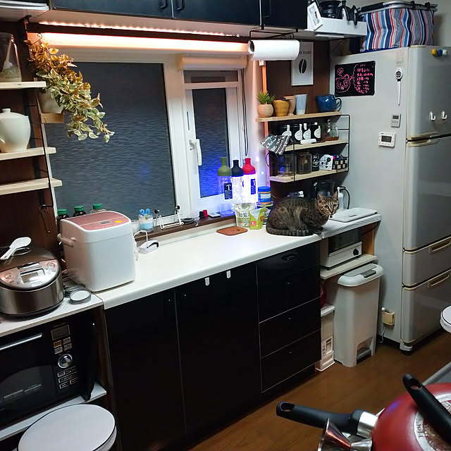 実例写真