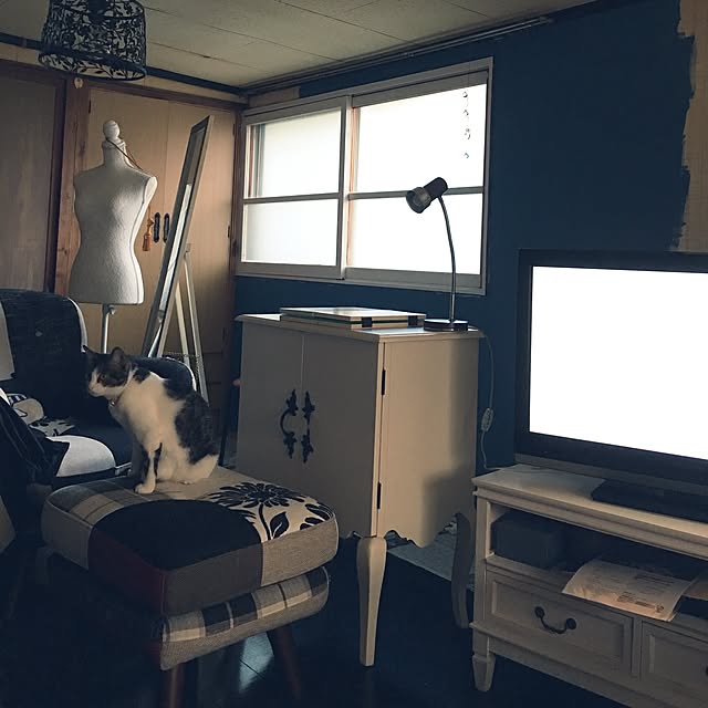 Shihoさんの実例写真