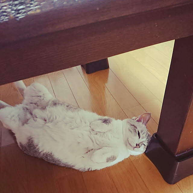 nachiさんの実例写真