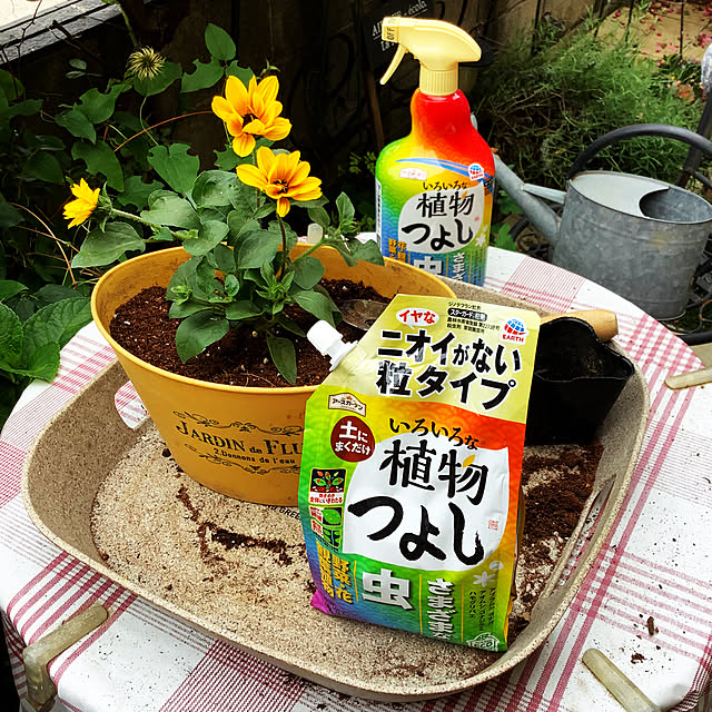 taeさんの部屋