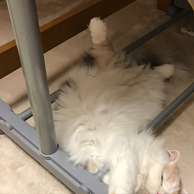 keibooさんの実例写真