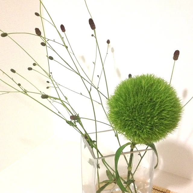 akiko.shu4.29さんの実例写真