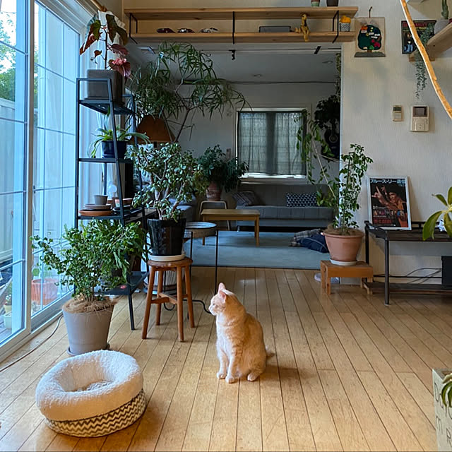 ayさんの実例写真