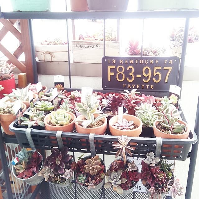 VERANDARJUNさんの実例写真