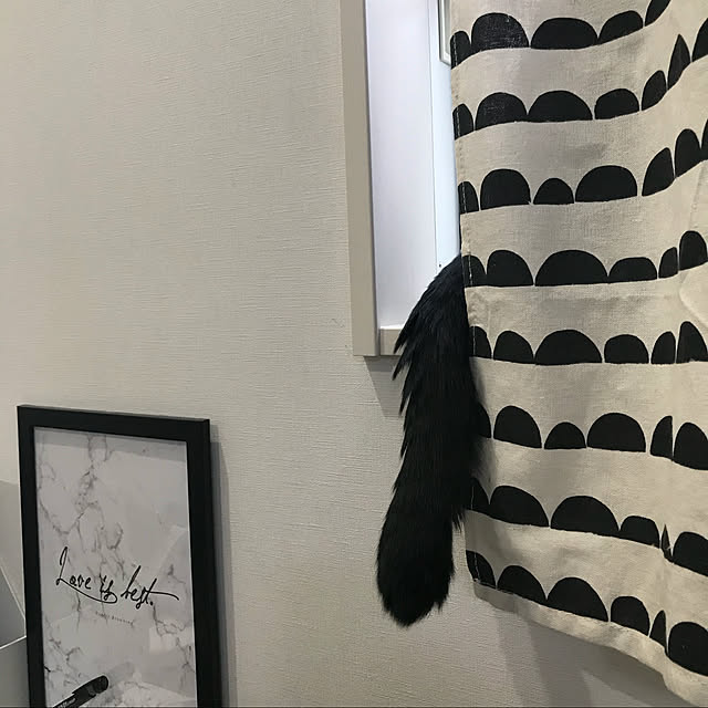 Motoko_Moonさんの実例写真