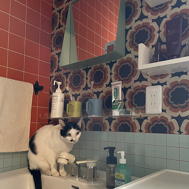 nobikoさんの部屋