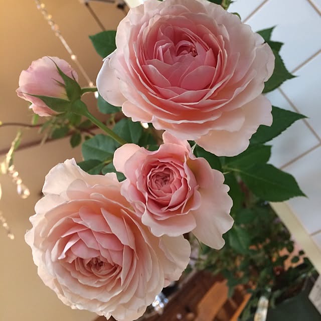 pink.heart.countryさんの実例写真