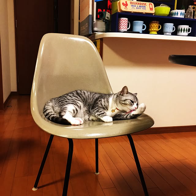 Shojiさんの実例写真