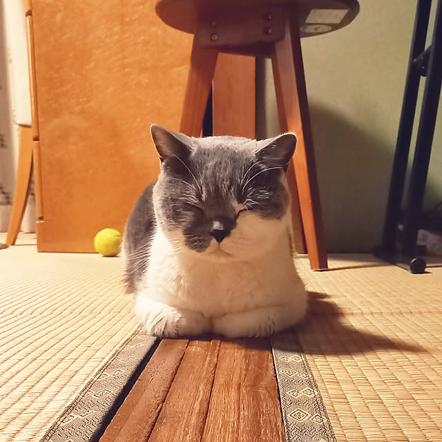 rhuさんの実例写真
