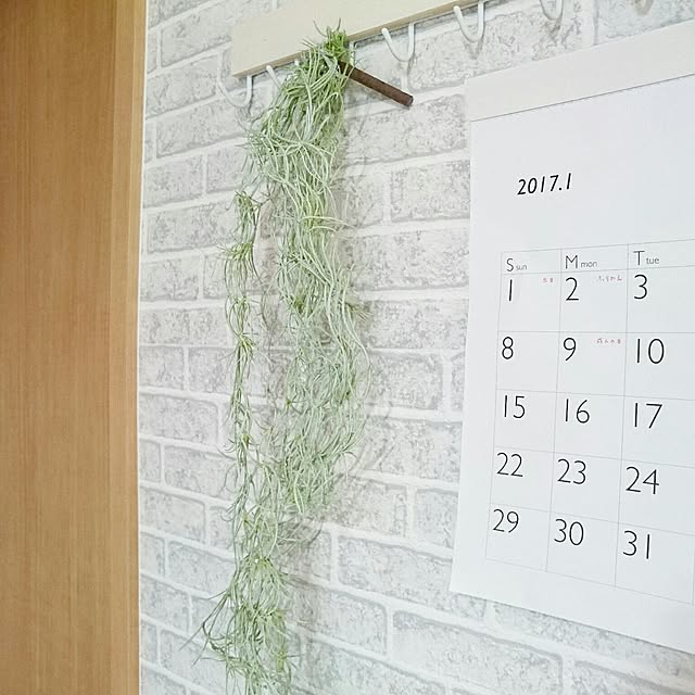 urittedさんの実例写真