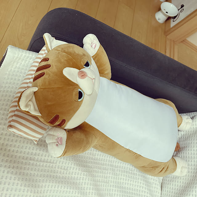 chiiさんの実例写真