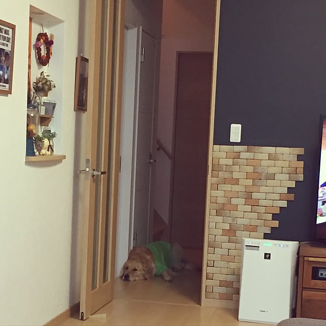 Kazueさんの実例写真