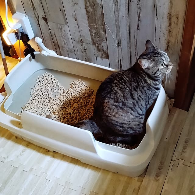 runaさんの実例写真