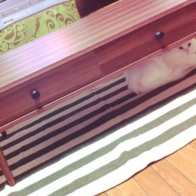yuriireeenさんの実例写真