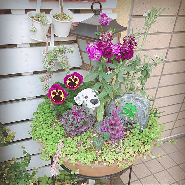 miya.ayaさんの実例写真