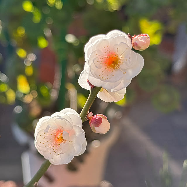 Aqettyさんの部屋