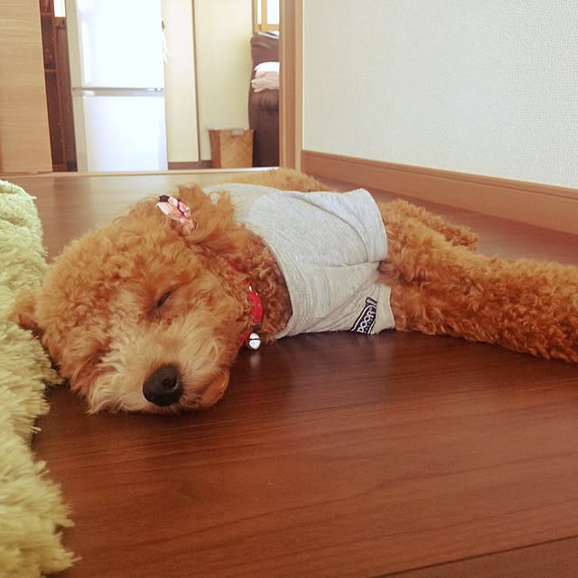 pirorin1147さんの実例写真