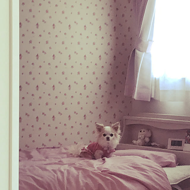 Sweetpeaさんの実例写真