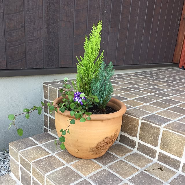 実例写真