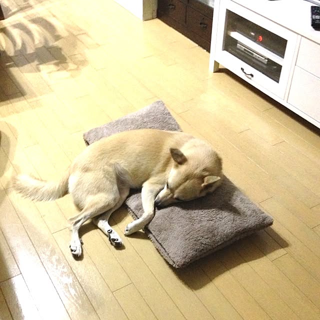 leonaさんの実例写真