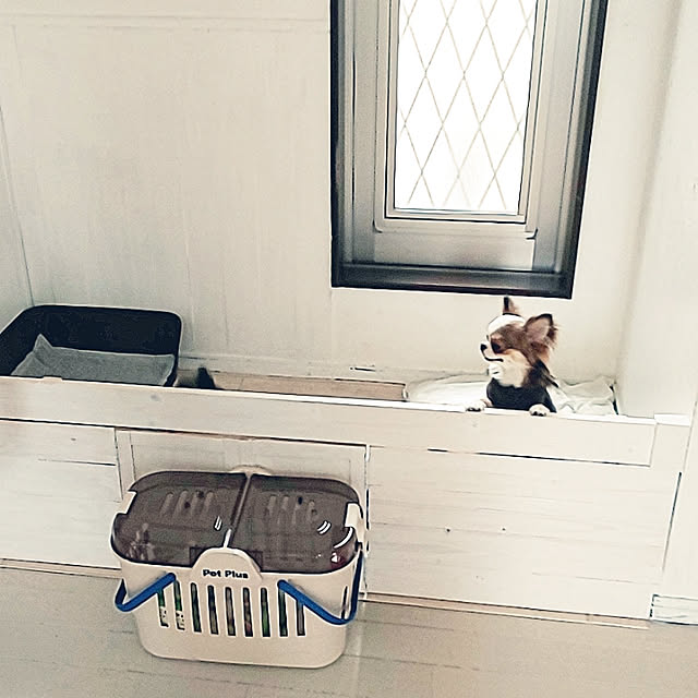 M_house_officialさんの実例写真