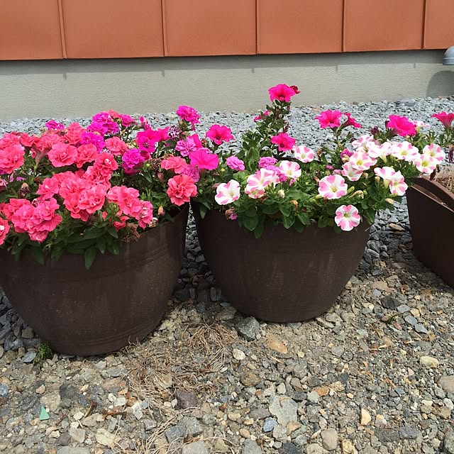HIRASAWAさんの実例写真