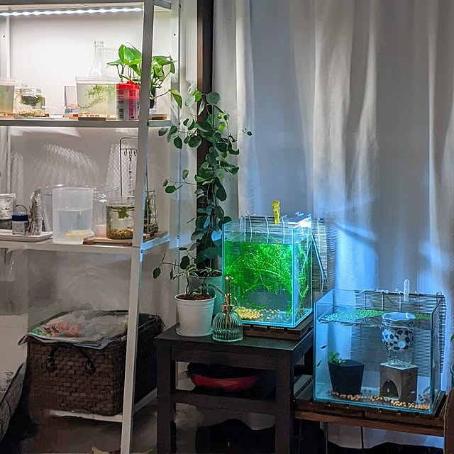 mi-saさんの部屋