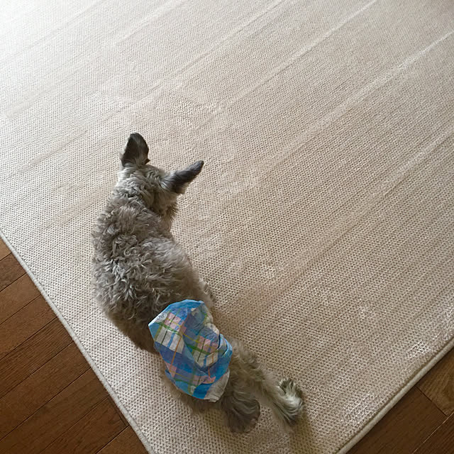 me_sweetさんの実例写真