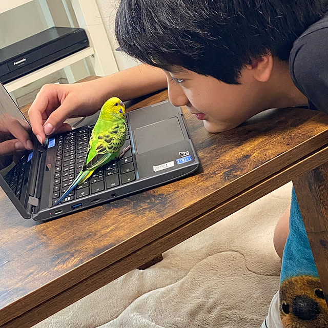 ohanaさんの実例写真