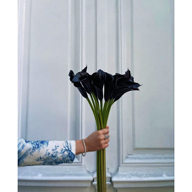 わが家のドア/植物のある暮らし/はなのある暮らし/白壁/花束♡...などのインテリア実例 - 2023-01-17 20:11:15