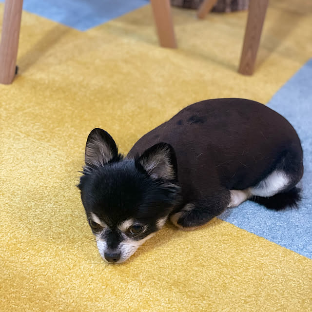 muccoさんの実例写真
