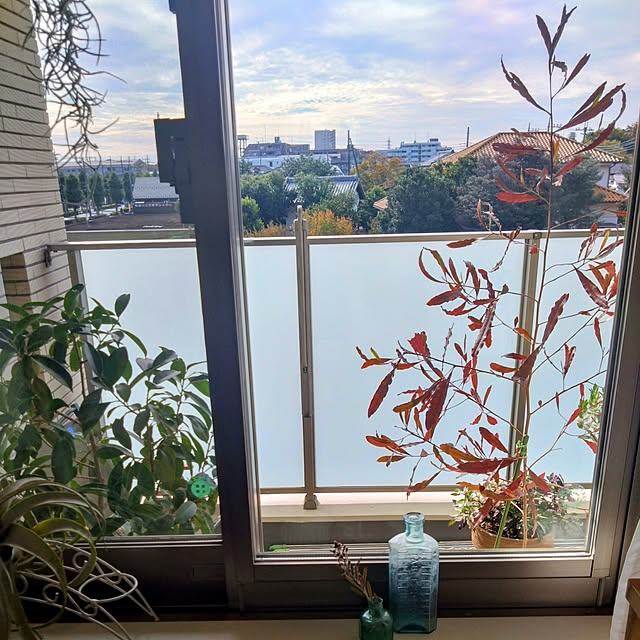 kerochanさんの実例写真