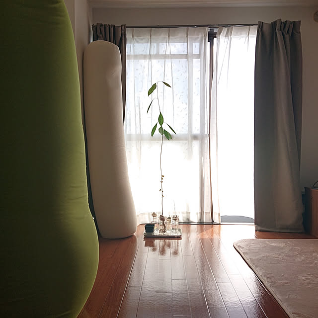 Cats829さんの実例写真