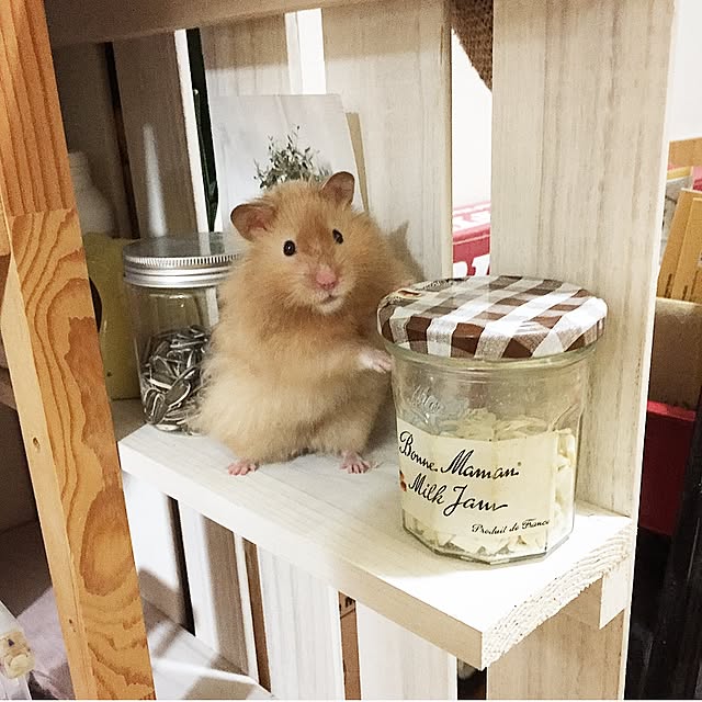 emiさんの実例写真