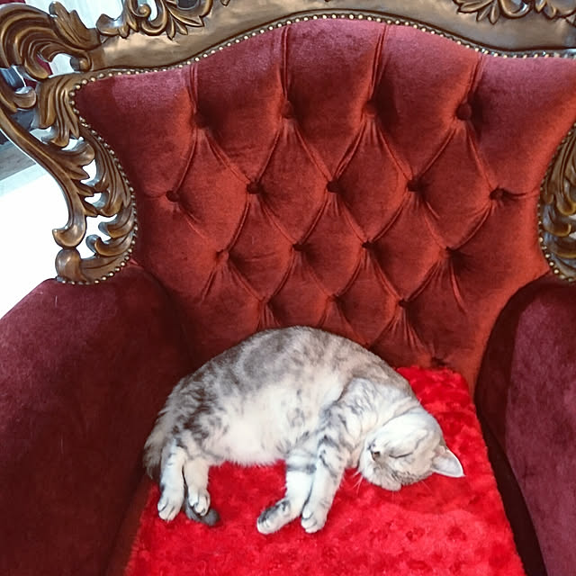machikomamaさんの実例写真