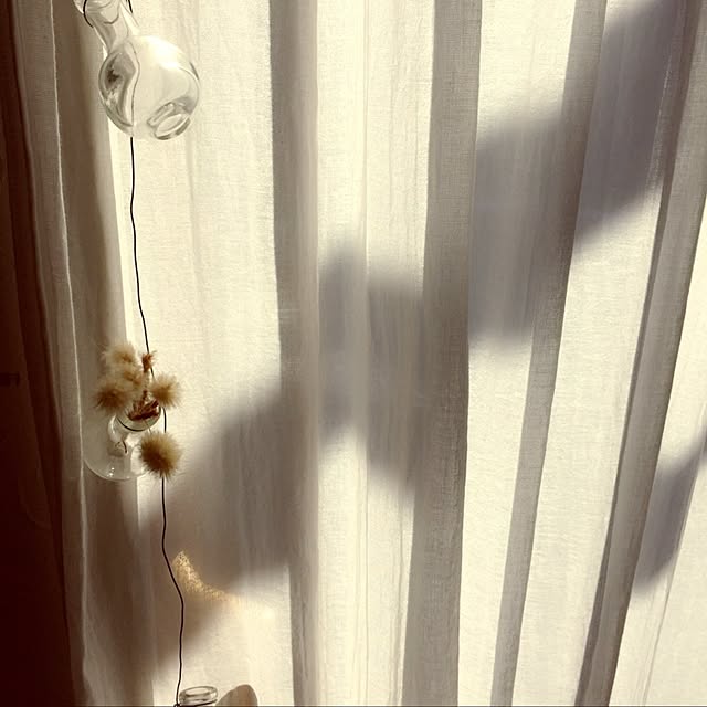 kumiさんの実例写真