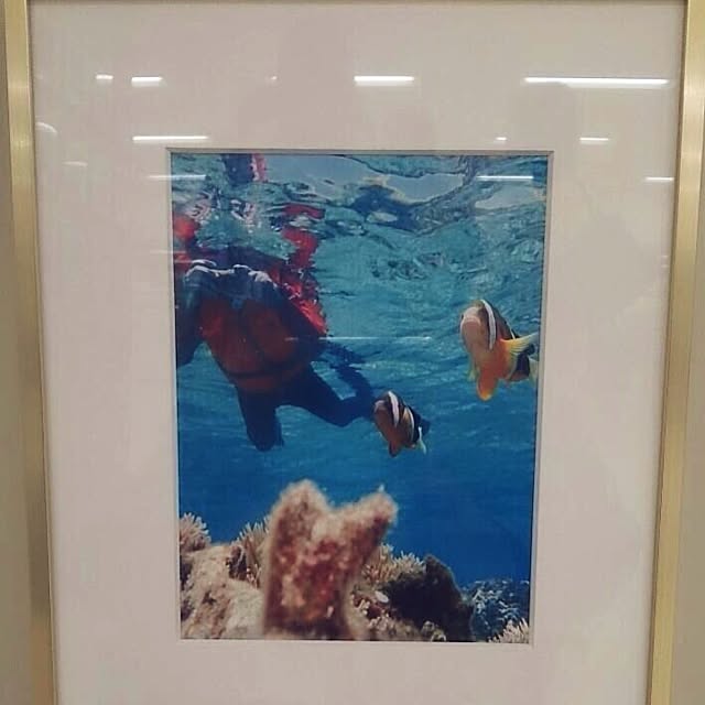 utatanさんの実例写真